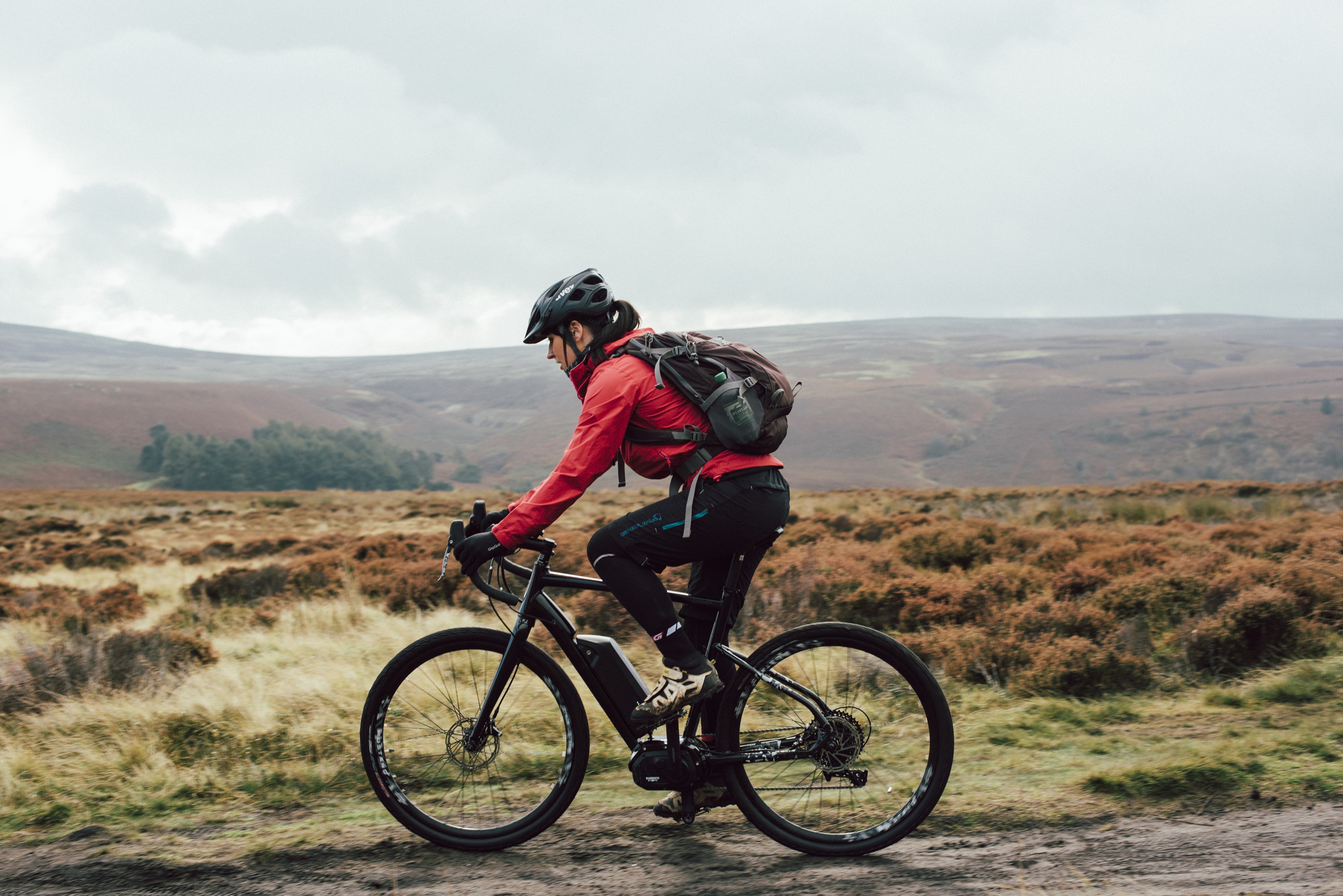accell group bikes